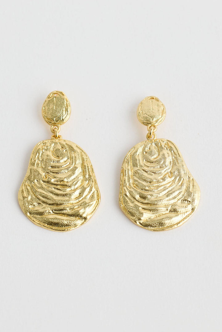 Close-up of gold oyster earrings earrings on white background.