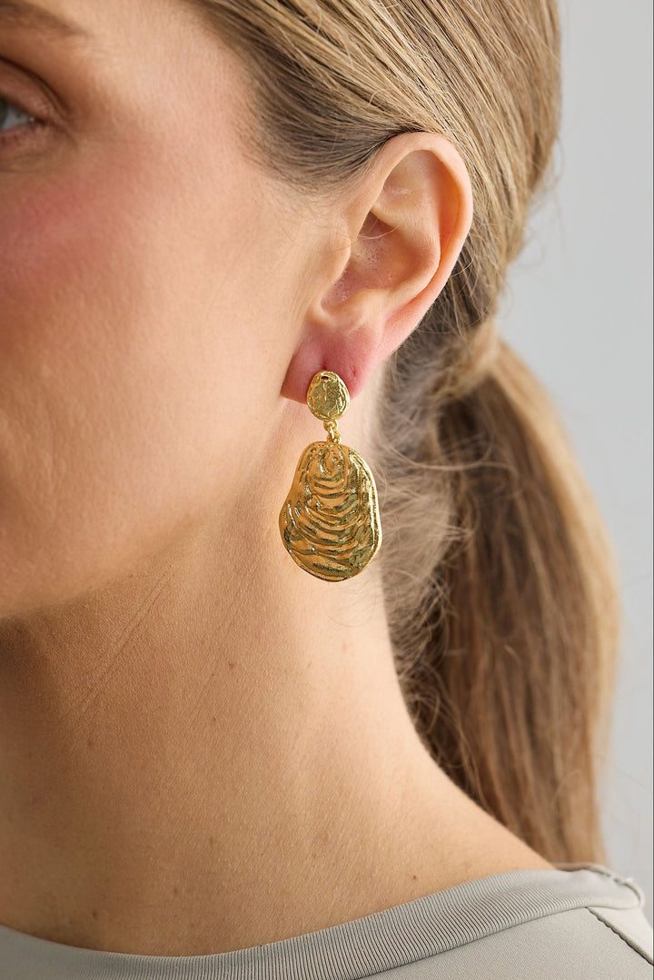 Close-up of gold oyster earrings earrings on white background.