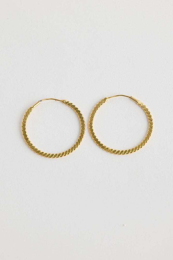 Close-up of gold oscar earrings earrings on white background.